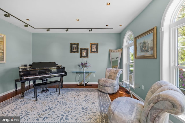 living area with baseboards, wood finished floors, and a wealth of natural light
