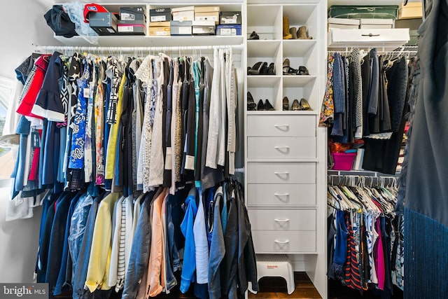 view of walk in closet