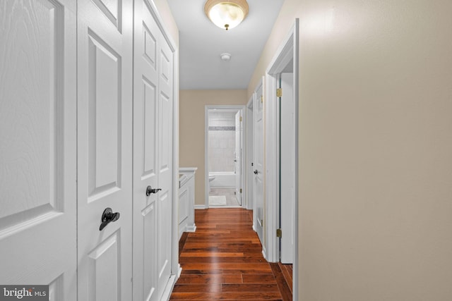 hallway with dark wood-style floors
