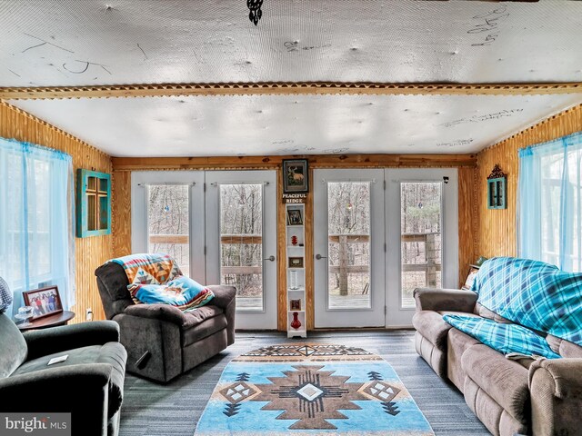29 Roy Guinn Rd, Points, WV 25437 - living area with wood walls and wood finished floors