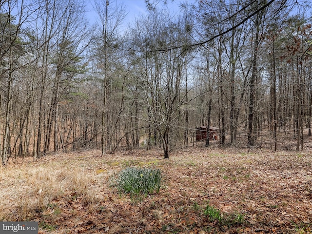 29 Roy Guinn Rd, Points, WV 25437 - view of local wilderness with a wooded view