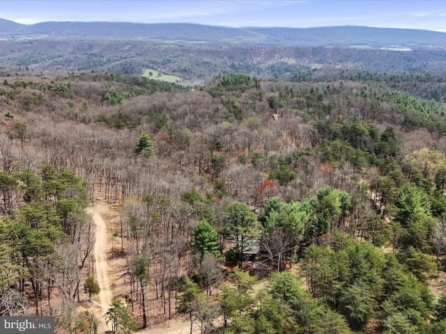 29 Roy Guinn Rd, Points, WV 25437 - aerial view featuring a forest view and a mountain view