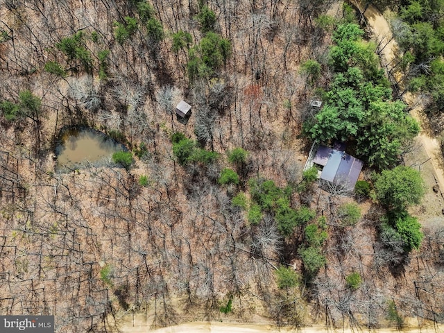 29 Roy Guinn Rd, Points, WV 25437 - birds eye view of property