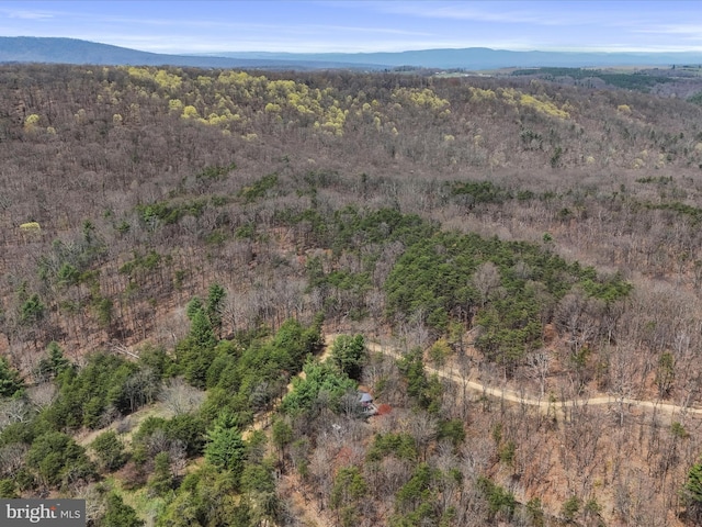 29 Roy Guinn Rd, Points, WV 25437 - bird's eye view with a mountain view and a wooded view