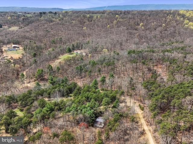 29 Roy Guinn Rd, Points, WV 25437 - bird's eye view featuring a view of trees