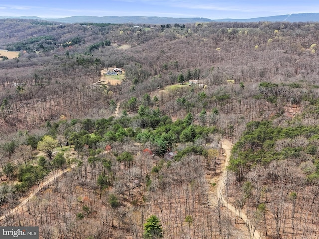 29 Roy Guinn Rd, Points, WV 25437 - aerial view featuring a wooded view and a mountain view