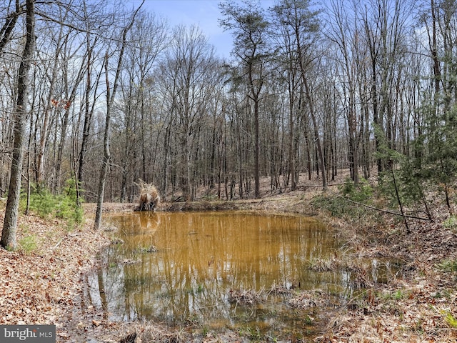 29 Roy Guinn Rd, Points, WV 25437 - view of nature
