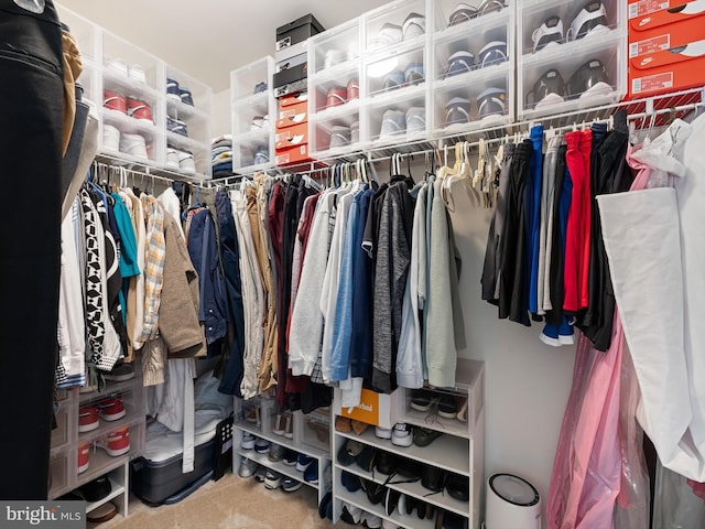 view of walk in closet
