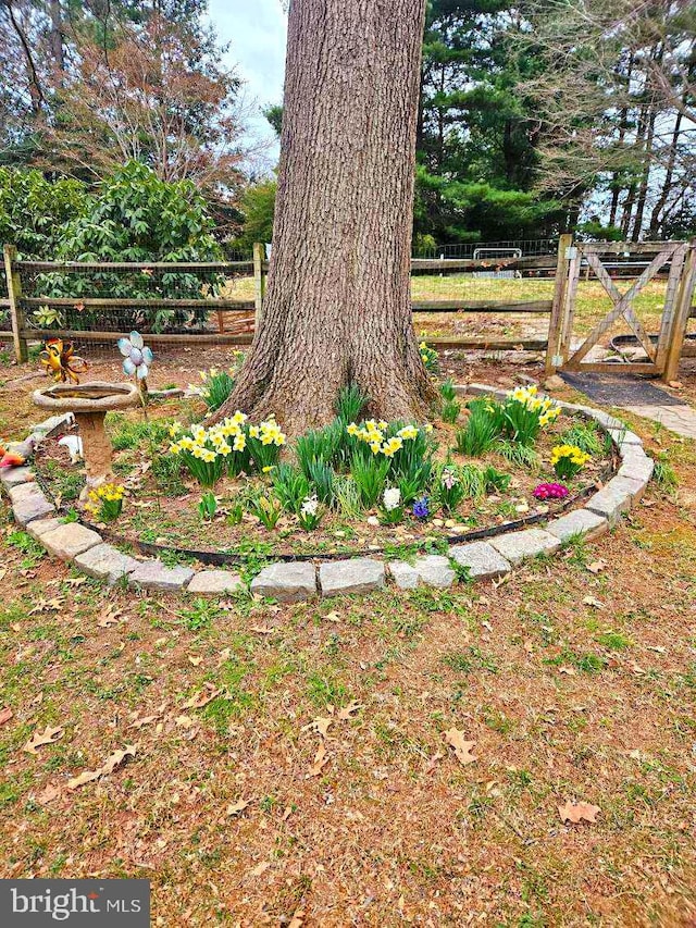 view of yard with fence and a gate