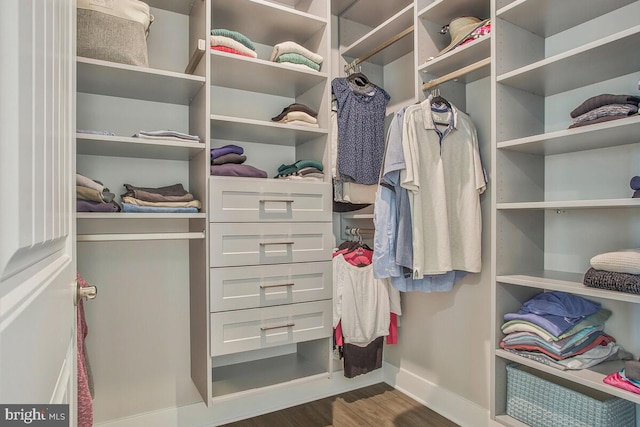 170 Harrier Way Unit 32, Chester, MD 21619 - spacious closet with wood finished floors