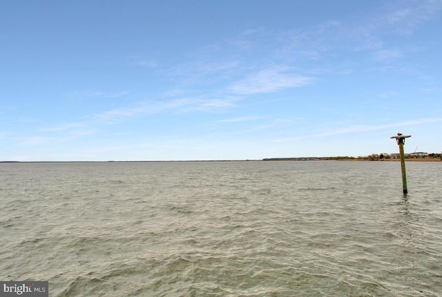 170 Harrier Way Unit 32, Chester, MD 21619 - view of yard featuring a water view