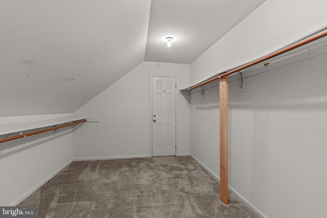 29 Foxcroft Dr, Princeton, NJ 08540 - spacious closet featuring lofted ceiling and carpet floors