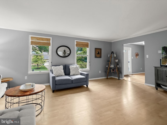 living area featuring ornamental molding, light wood finished floors, and baseboards