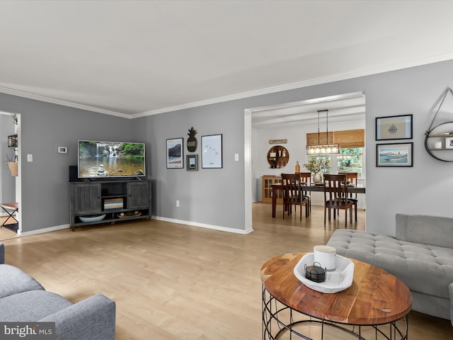 living room featuring crown molding, light wood-type flooring, and baseboards