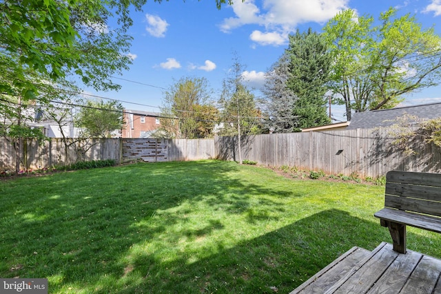 view of yard featuring a fenced backyard