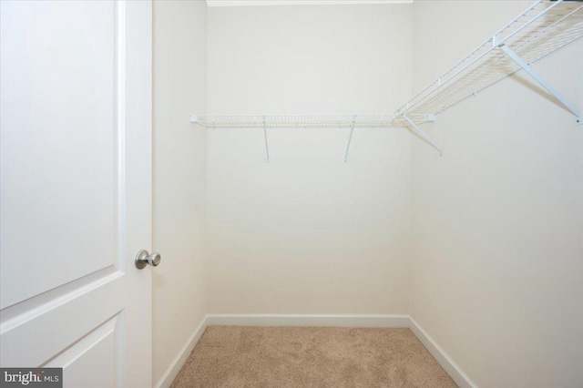spacious closet featuring light colored carpet
