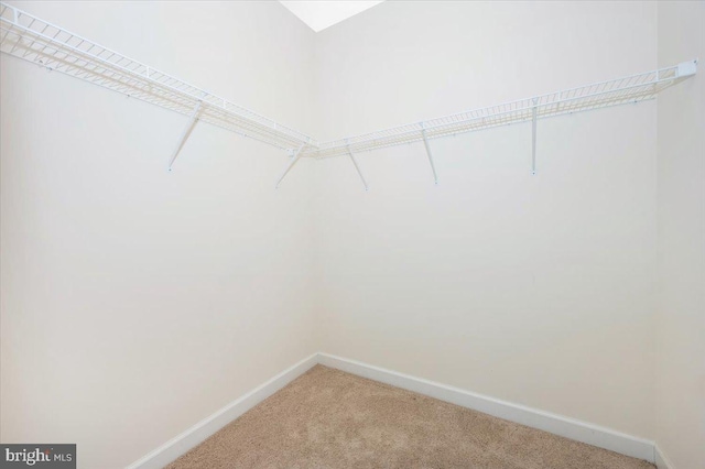 spacious closet with light carpet