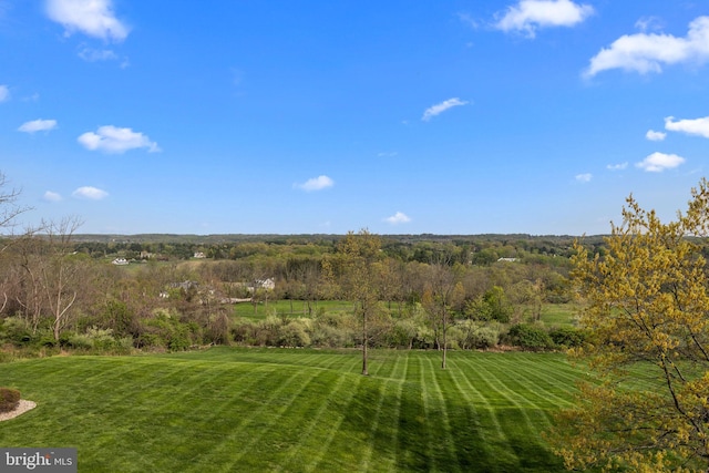 view of yard with a view of trees