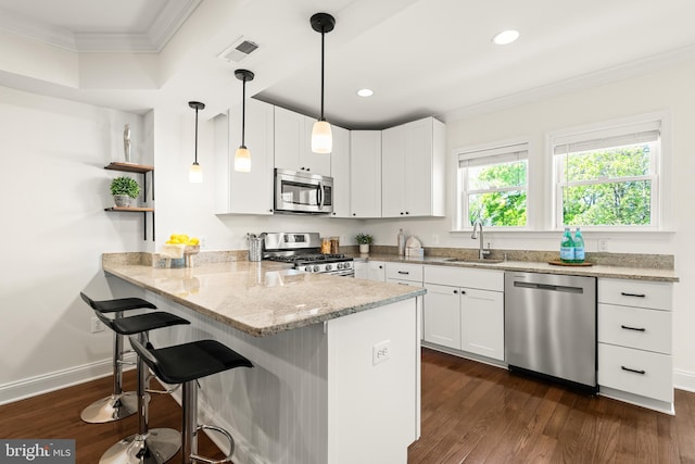 kitchen with crown molding, appliances with stainless steel finishes, a sink, a peninsula, and dark wood-type flooring