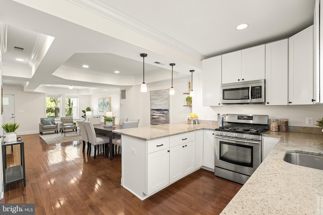 kitchen featuring appliances with stainless steel finishes, dark wood finished floors, a peninsula, open floor plan, and ornamental molding
