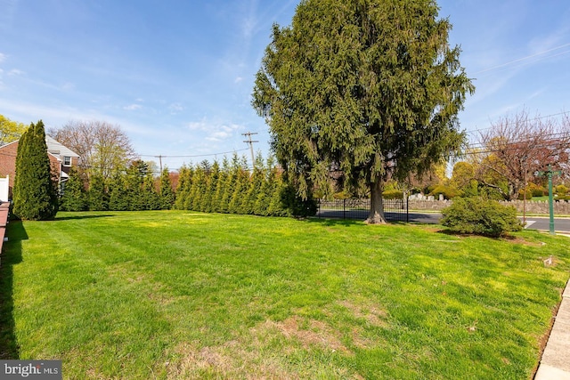 538 Gainsboro Rd, Drexel Hill, PA 19026 - view of yard