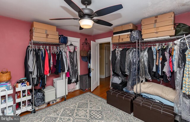 538 Gainsboro Rd, Drexel Hill, PA 19026 - spacious closet featuring a ceiling fan and wood finished floors