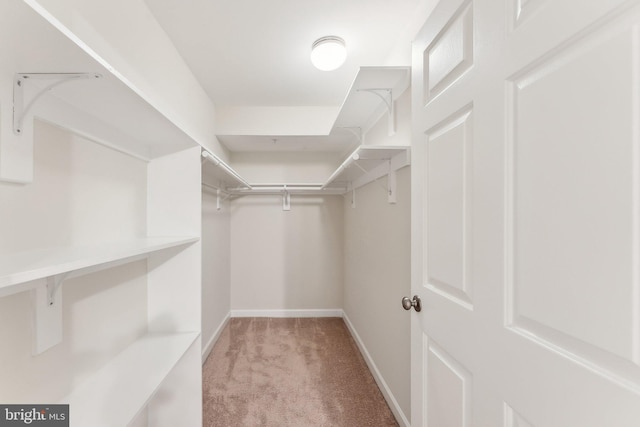 spacious closet with carpet