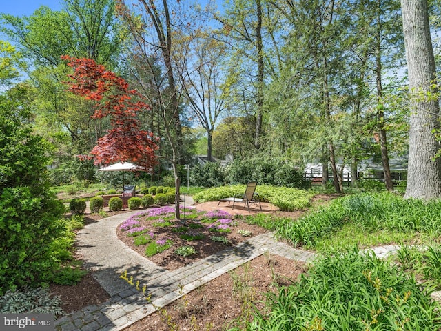 506 Devonshire Ln, Severna Park, MD 21146 - view of yard with a patio area