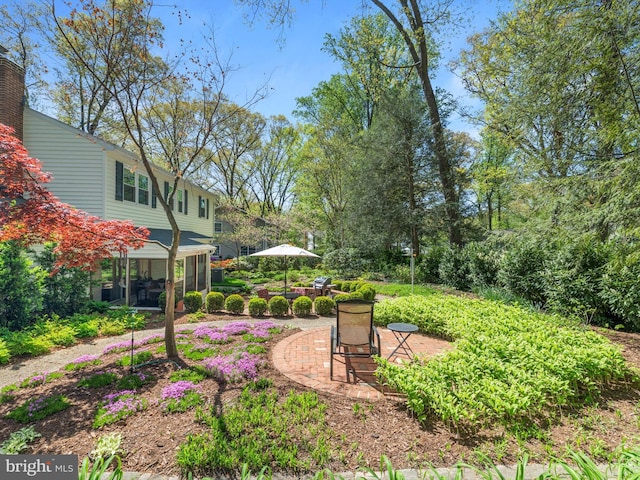 506 Devonshire Ln, Severna Park, MD 21146 - view of yard with a patio