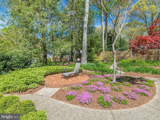 506 Devonshire Ln, Severna Park, MD 21146 - view of yard with a patio area