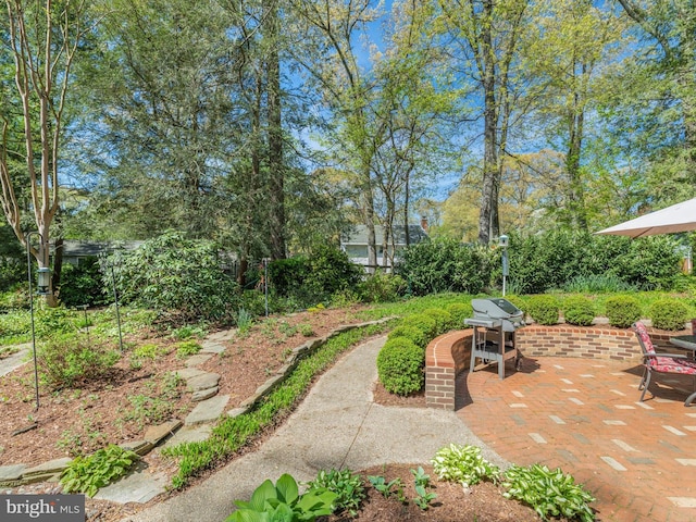 506 Devonshire Ln, Severna Park, MD 21146 - view of yard featuring a patio