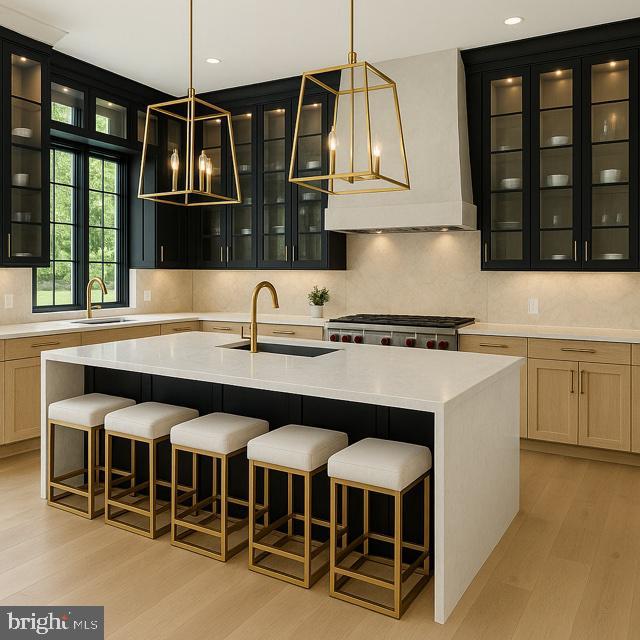 9210 Marseille Dr, Potomac, MD 20854 - kitchen with a sink, light wood-style flooring, dark cabinetry, and recessed lighting