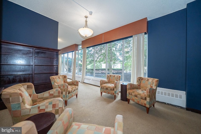 living area with carpet flooring, radiator heating unit, and plenty of natural light