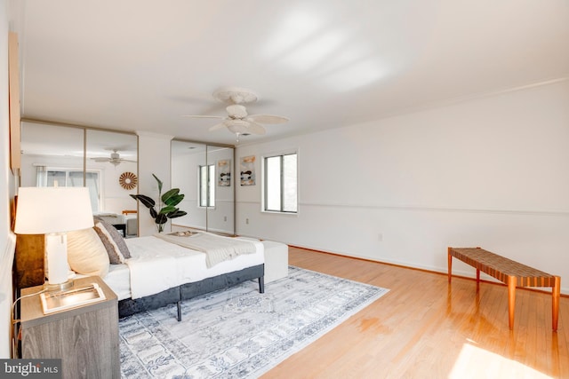 bedroom featuring ceiling fan, two closets, wood finished floors, and baseboards