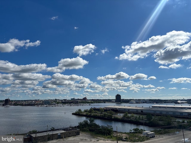 1200 Steuart St Unit 913, Baltimore, MD 21230 - water view