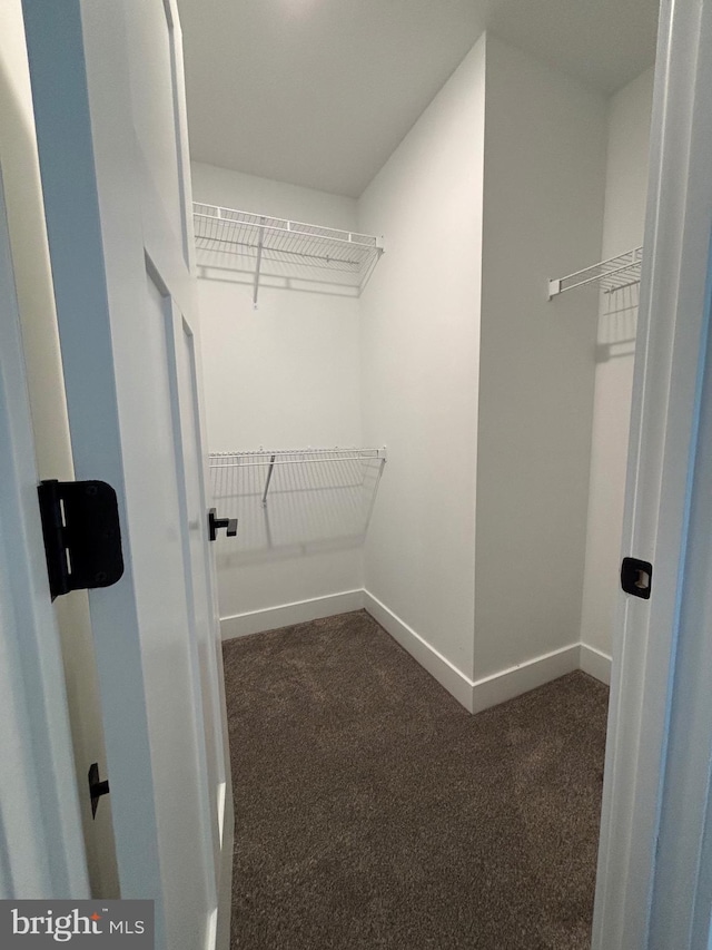 walk in closet with dark colored carpet