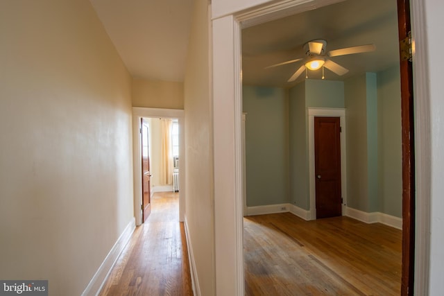 1323 W 41st St, Baltimore, MD 21211 - hallway featuring wood finished floors and baseboards