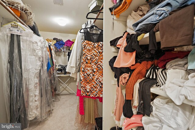 8233 Gallery Ct, Gaithersburg, MD 20886 - spacious closet featuring carpet