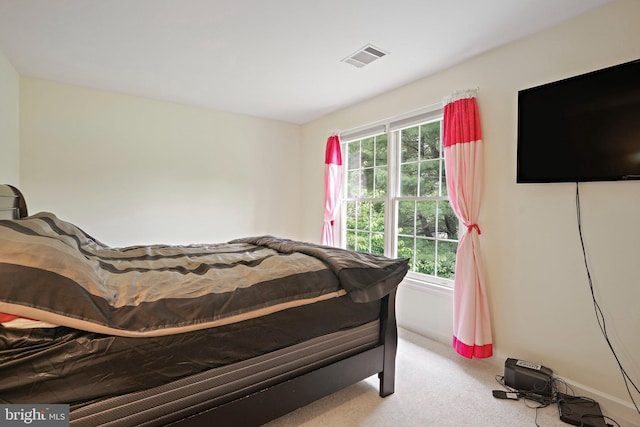 8233 Gallery Ct, Gaithersburg, MD 20886 - bedroom with carpet