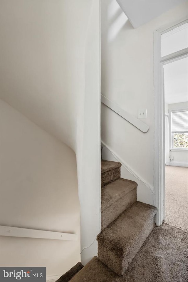 stairs with carpet floors