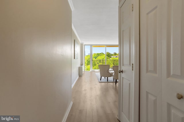 corridor with baseboards, light wood-type flooring, and a wall of windows