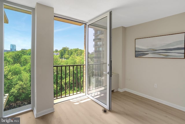 entryway featuring baseboards, wood finished floors, and a wealth of natural light