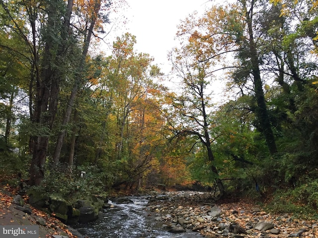 view of nature featuring a view of trees