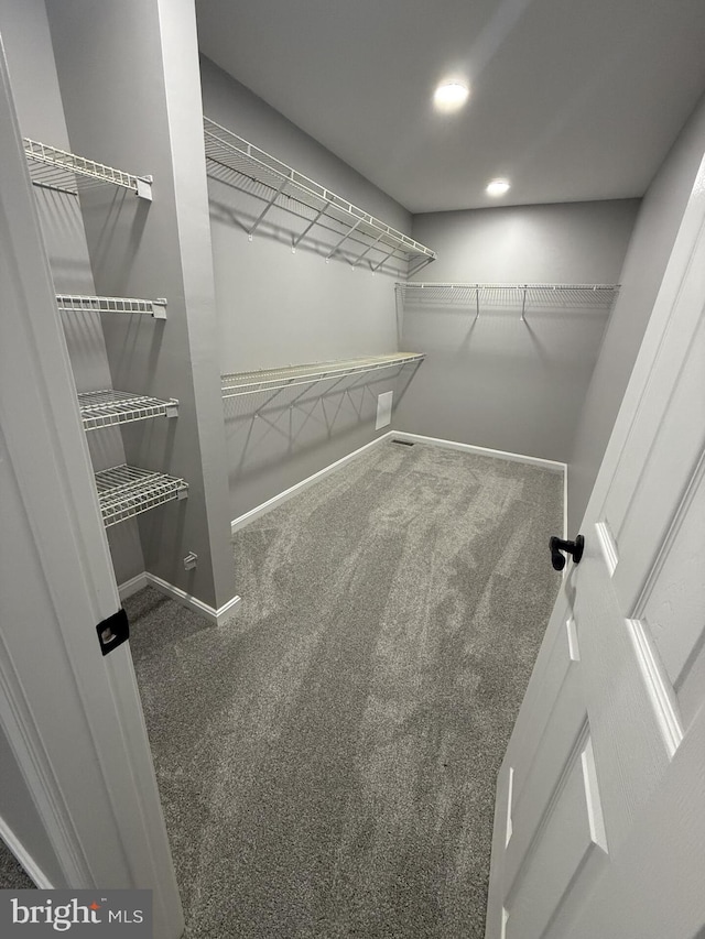 spacious closet featuring carpet