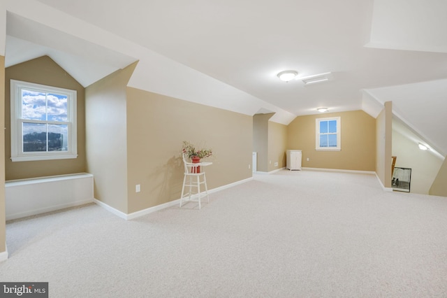 34844 Apple Pride Ct, Round Hill, VA 20141 - bonus room with lofted ceiling, carpet, and baseboards