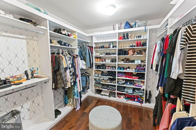 walk in closet featuring wood finished floors