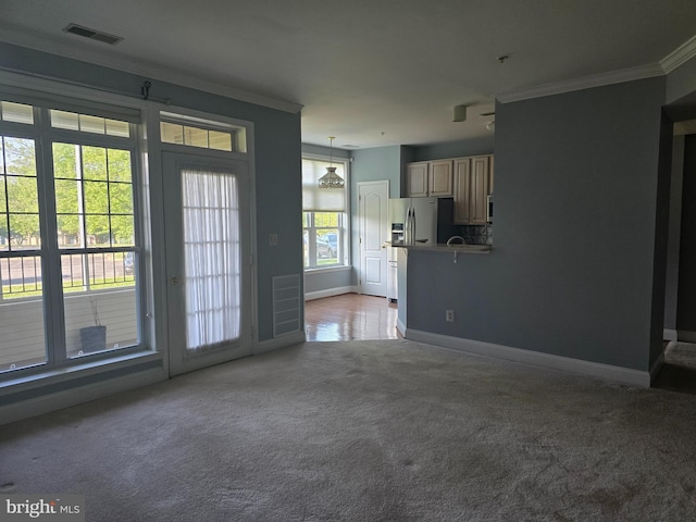 2100 Ganton Grn Unit B-104, Woodstock, MD 21163 - unfurnished living room featuring ornamental molding, carpet, and baseboards