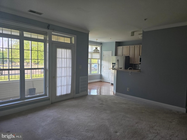 2100 Ganton Grn Unit B-104, Woodstock, MD 21163 - unfurnished living room featuring ornamental molding, carpet floors, and baseboards