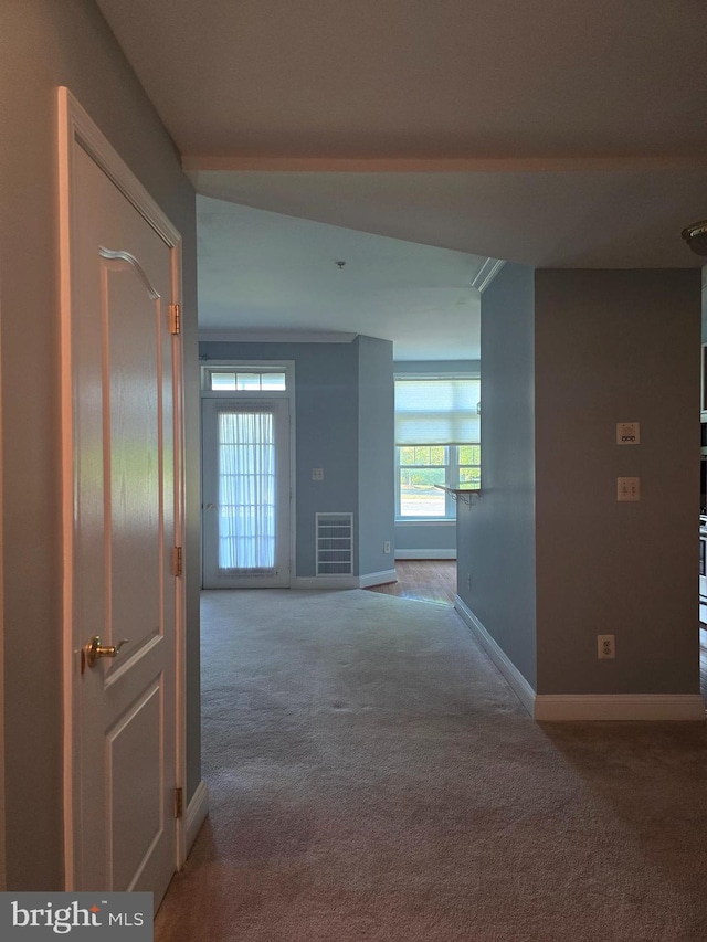 2100 Ganton Grn Unit B-104, Woodstock, MD 21163 - corridor with carpet and baseboards