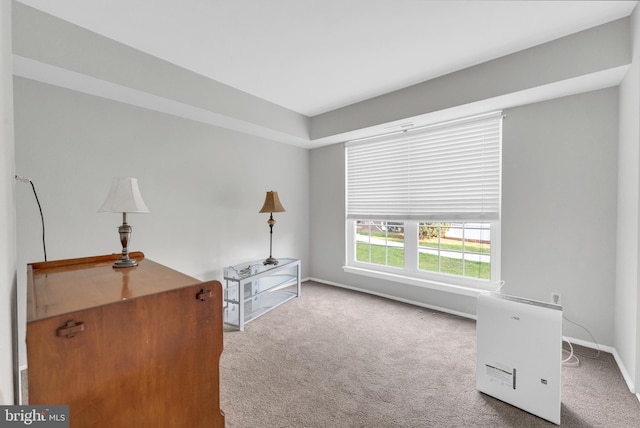 office space featuring carpet floors and baseboards